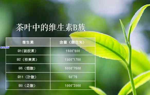 什么茶抗衰老效果好，揭秘茶叶中的抗衰老成分，哪种茶效果？