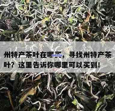 州买什么茶比较好-州买什么茶比较好喝