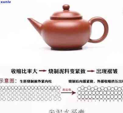 老朱泥适合泡什么茶，探究老朱泥的特性：它最适合泡哪种茶？