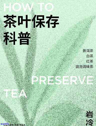 什么茶时间越长越好喝？探讨茶叶保存期限与口感的关系