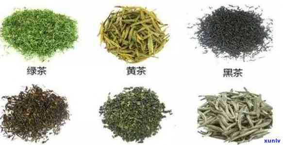 什么茶适合存，揭秘最适合存的茶叶种类