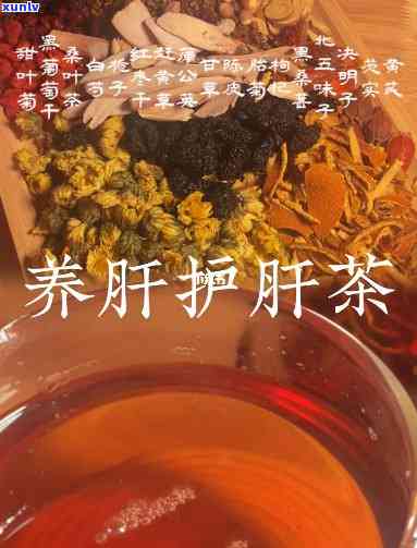 养肝护肝有什么茶好-养肝护肝有什么茶好喝