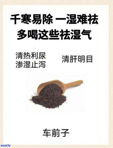 什么茶除湿除寒，除湿除寒的好帮手，哪种茶最适合？