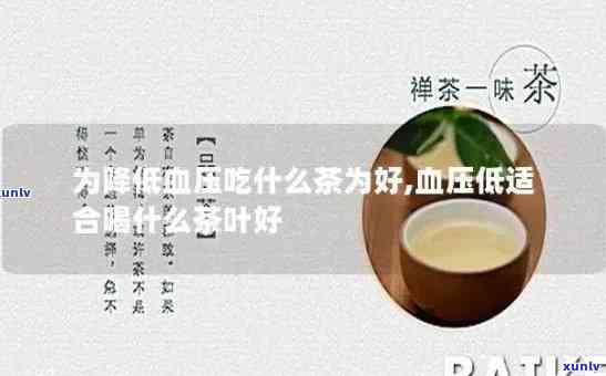 什么茶降血压效果好，探究哪些茶叶具有显著的降压效果？