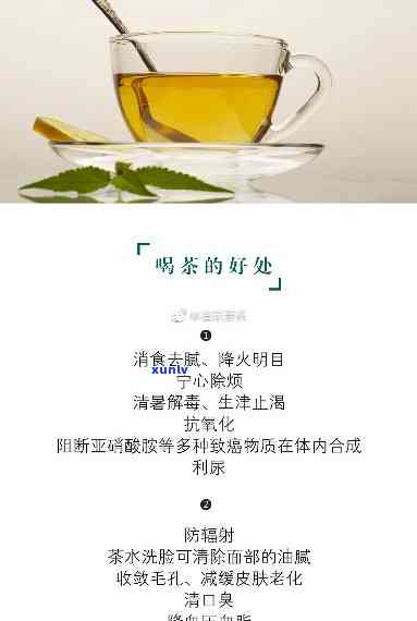 降血压：哪种茶喝？