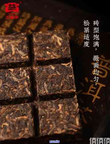 大益翡翠小砖茶好喝吗？用户分享评测与购买建议