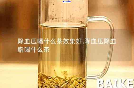 什么茶降压降脂-喝什么茶降压降脂效果