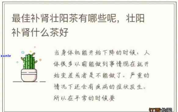 什么茶补肾效果男性？探究最适合男性的补肾饮品