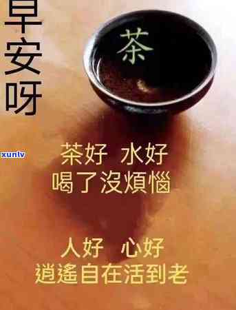 哪个省份最喜欢喝茶，中国各地饮茶惯调查：哪个省份更爱喝茶？