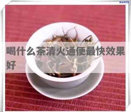 什么茶清火排-什么茶清火排的