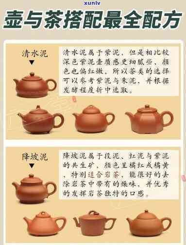 壶适合泡什么茶？了解坭兴壶与其它茶叶的搭配技巧