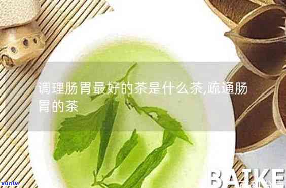 什么茶对脾胃比较好呢，探讨哪种茶叶最适合调理脾胃？