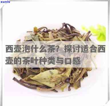 西壶泡什么茶-西壶泡什么茶喝