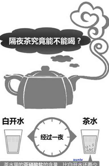 什么茶可以喝隔夜茶？揭开真相