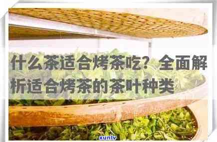 烤茶用什么茶比较好一点？探讨最适合烤茶的茶叶种类