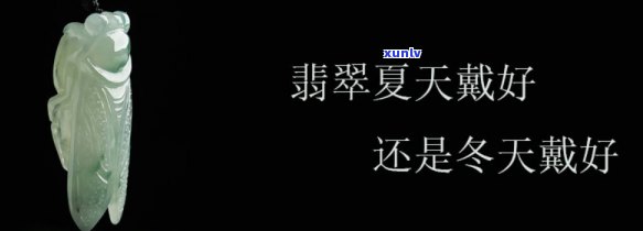 云南勐海冰岛古树茶价格与历年走势，临沧勐库及勐傣茶厂出品的冰岛古树茶对比，详细2016年价格信息