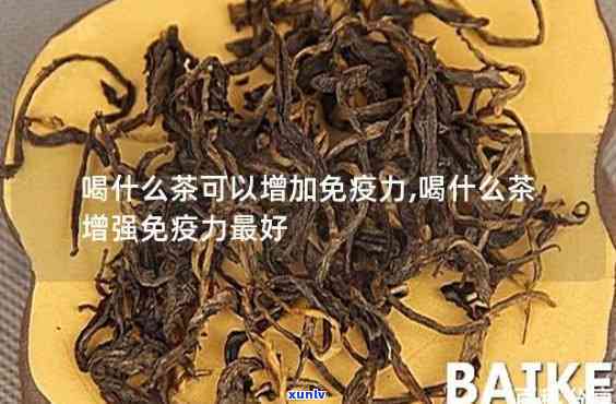 什么茶提高免疫力好呢，探讨提高免疫力的茶叶，哪种最有效？