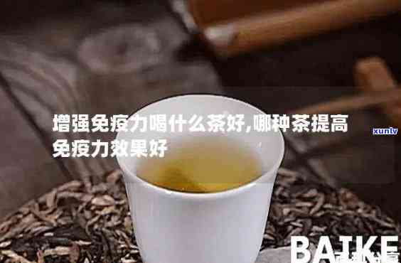 什么茶提升免疫力？效果的茶是什么？