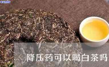 高血压能喝红茶白茶吗？探讨其影响