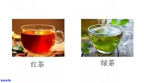 风热感冒：喝红茶还是绿茶？哪个更好？