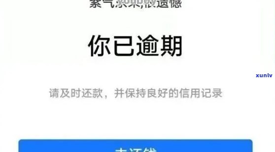 网商贷逾期两天会怎么样，网商贷逾期两天的结果是什么？