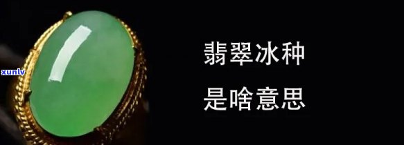 翡翠冰种是什么意思是最差的吗，什么是翡翠冰种？它是品质最差的一种吗？