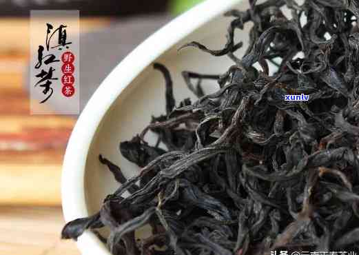 红茶：新茶好还是陈茶好？探讨其优缺点