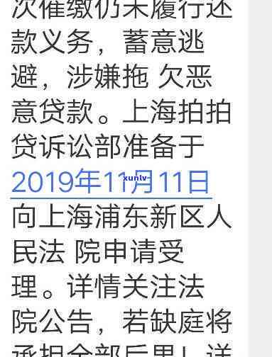 '网贷15万还不起？解决方案大揭秘！'