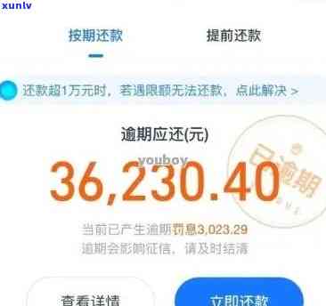 网商贷欠了4万5不还会怎么样，网商贷欠款4万5，不还的结果是什么？