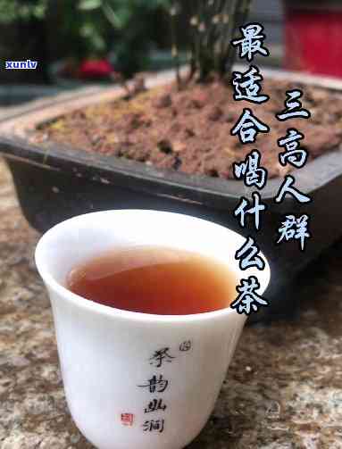 三高人群泡什么茶好呢，适合三高人群的茶叶推荐，泡什么茶？