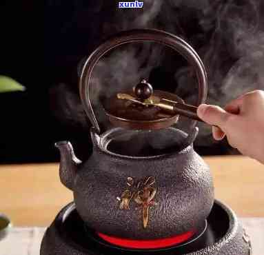 铁壶煮什么茶好？探讨最适合铁壶烹煮的茶叶品种