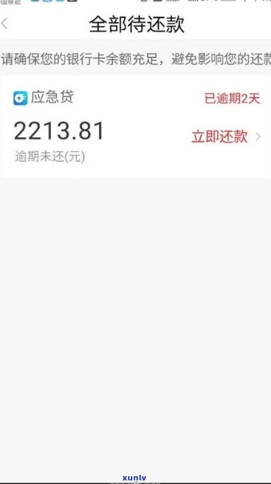 网商贷逾期二十天会什么样-网商贷逾期二十天会什么样吗