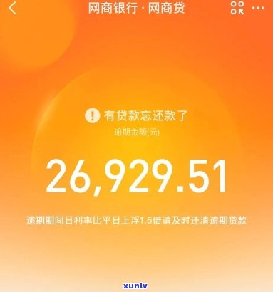 网商贷逾期25万会怎么样-网商贷逾期25万会怎么样吗