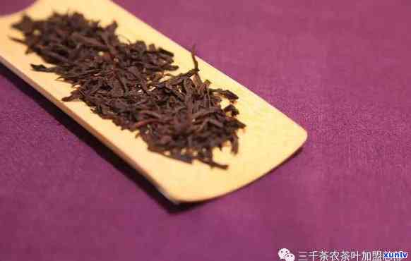 建水紫：最适合泡什么茶？