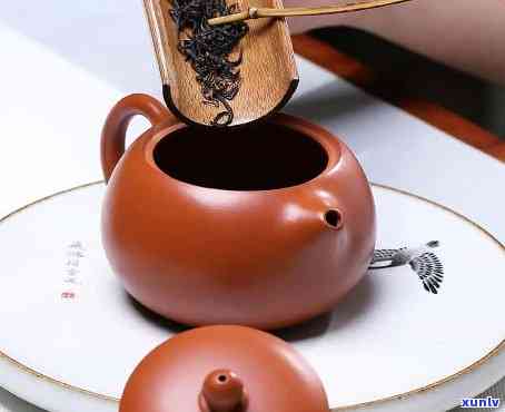 仿古茶壶泡什么茶好-仿古茶壶泡什么茶好喝