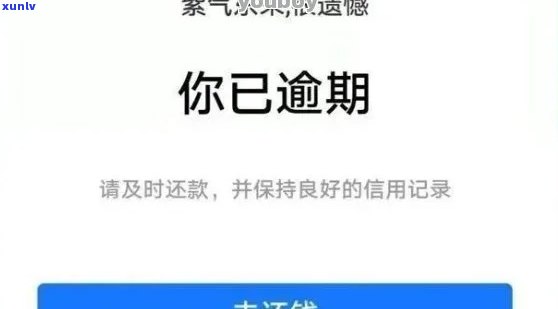 网商贷逾期的后果会怎么样-网商贷逾期的后果会怎么样吗