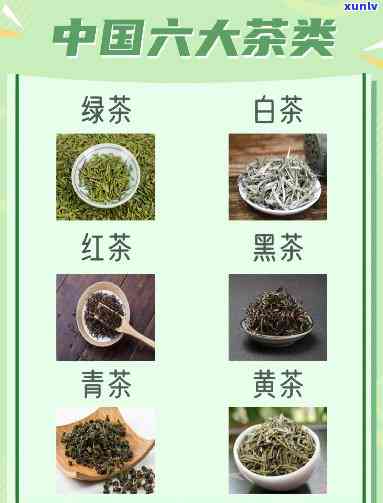 的茶叶全揭秘：你不可错过的推荐