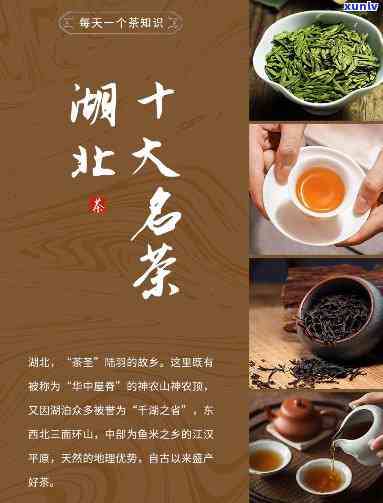 湖北什么茶好-湖北什么茶好喝一点