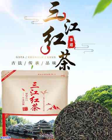 柳州三江有什么茶，探秘柳州三江：特色茶叶品种大揭秘