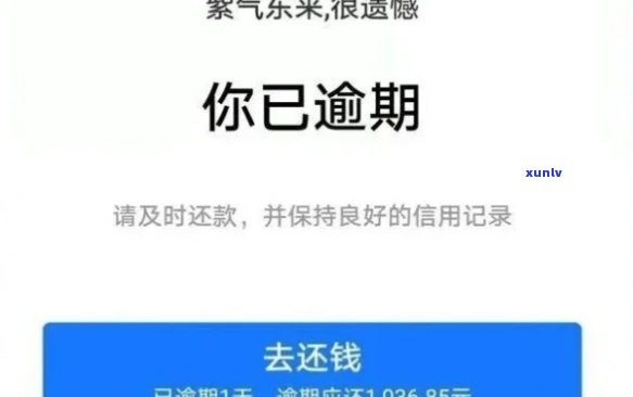 网商贷逾期2天结清会产生什么作用？