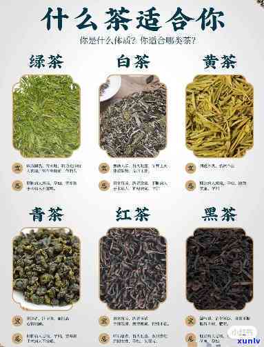 泡什么茶喝对身体好处更大，探究健饮品：泡什么茶对身体最有益？