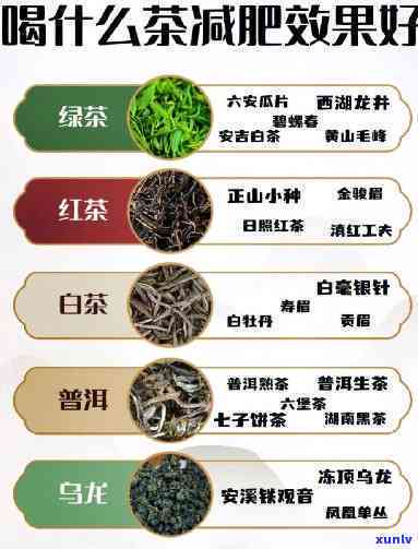 什么茶有助减肥，探讨茶叶中的瘦身秘密：哪些茶有助于减肥？