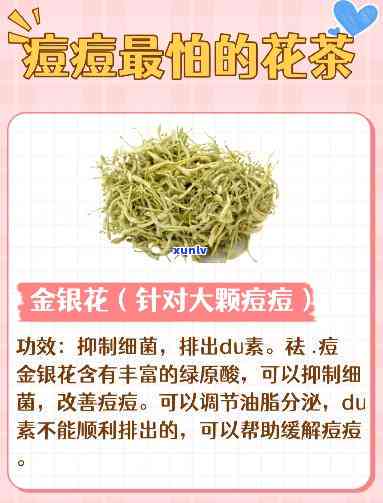 充分利用小罐茶茶叶盒的 *** 与技巧