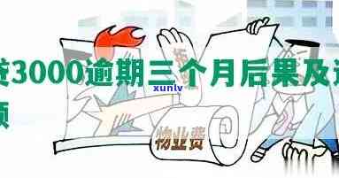 网贷欠3000不还：怎样解决？