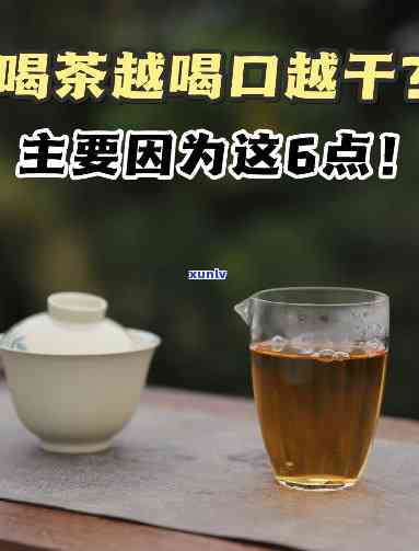 口干口苦泡什么茶喝？这里有答案！