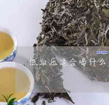 低血压配什么茶-低血压配什么茶喝