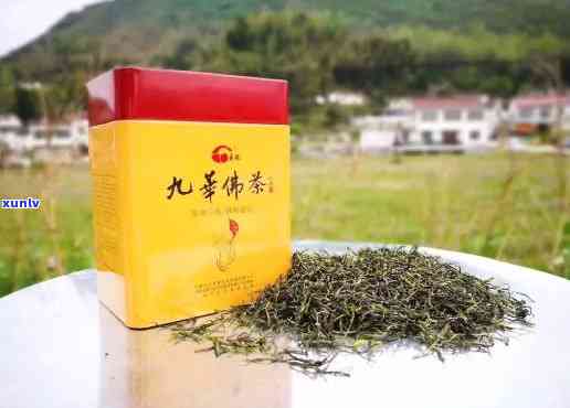 九华山茶：究竟属于哪种茶？