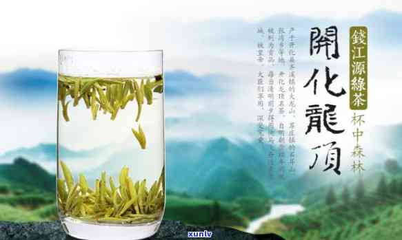 开化龙顶：揭示浙江名茶之谜