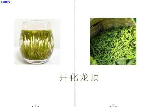 开化龙顶茶是什么茶-开化龙顶茶是什么茶叶