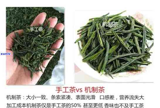 七步茶一号价格：多少钱一斤？产品介绍与评测